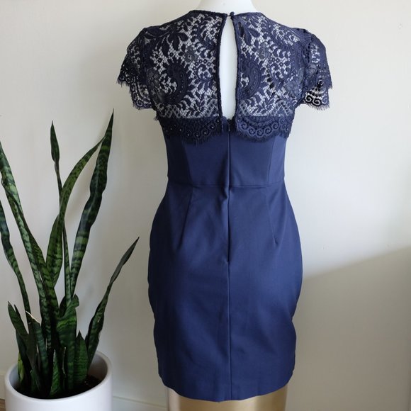 Ever New eyelash lace and crystal cocktail dress - Picture 2 of 13